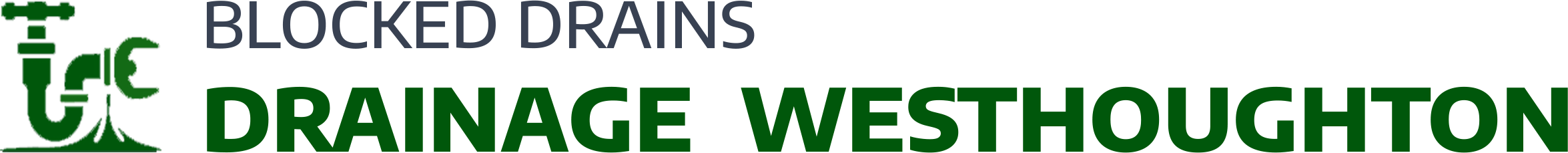 website logo